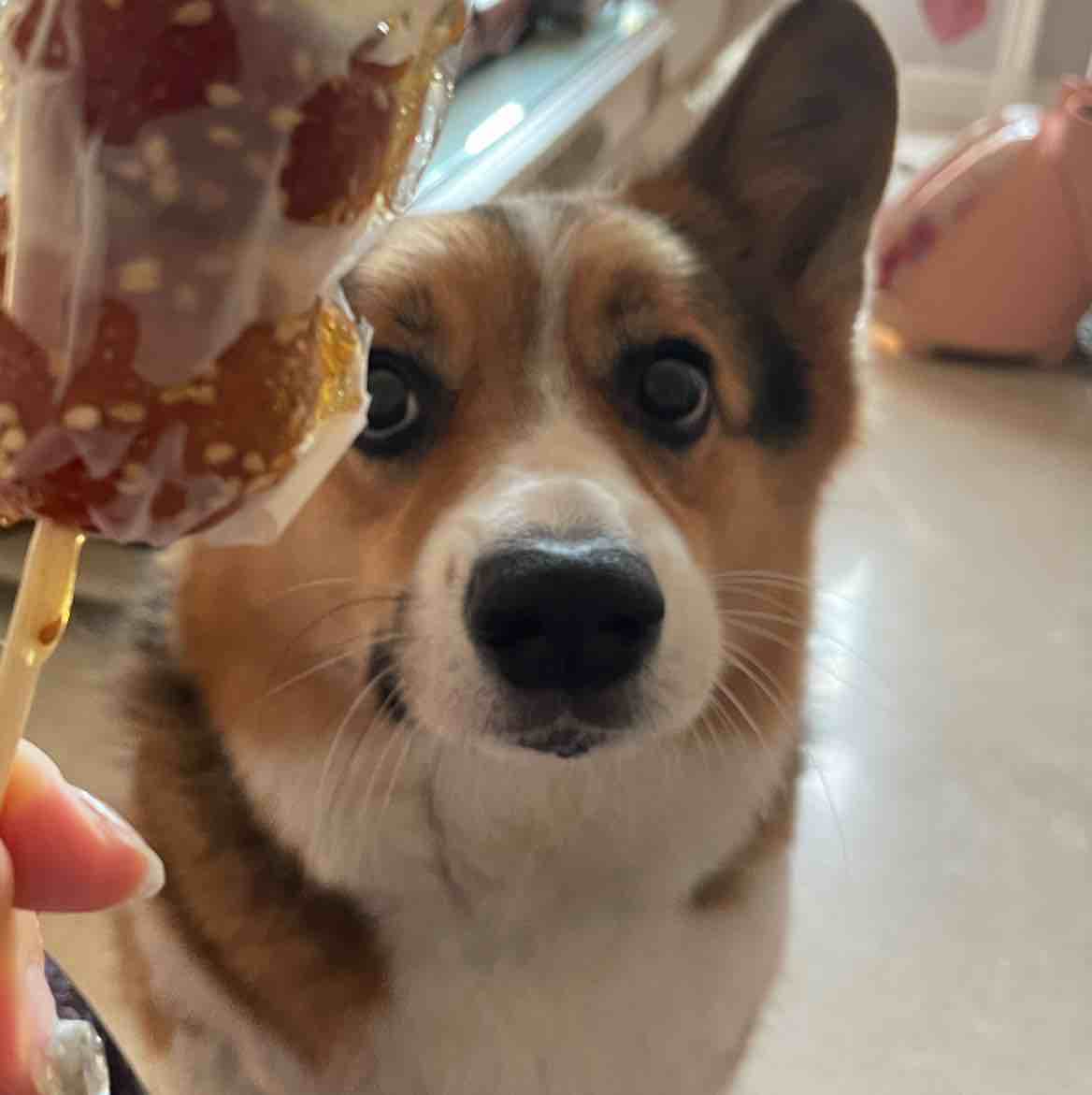 蔚来