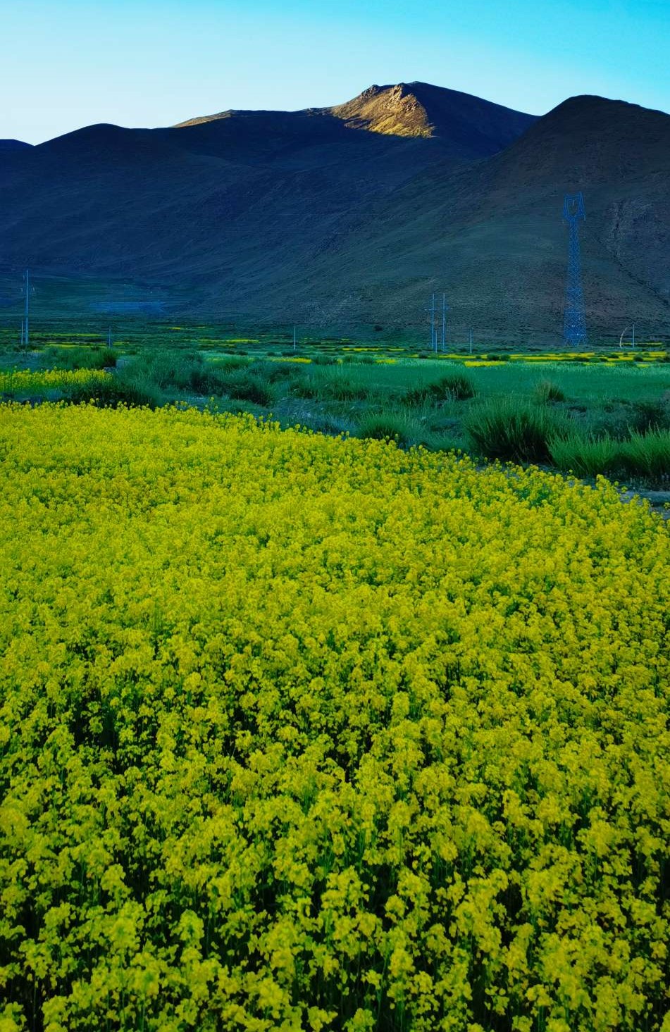 上海哪里能买到氧气袋上海-珠峰 ｜ 带娃自驾13000公里，全程攻略都在这里_https://www.jmylbn.com_新闻资讯_第27张
