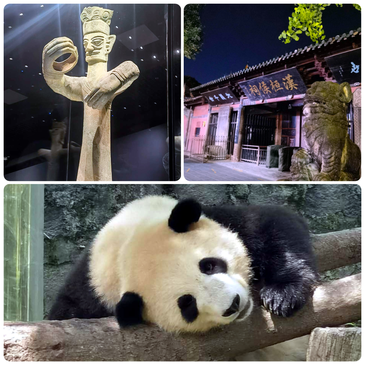 上海哪里能买到氧气袋上海-珠峰 ｜ 带娃自驾13000公里，全程攻略都在这里_https://www.jmylbn.com_新闻资讯_第8张